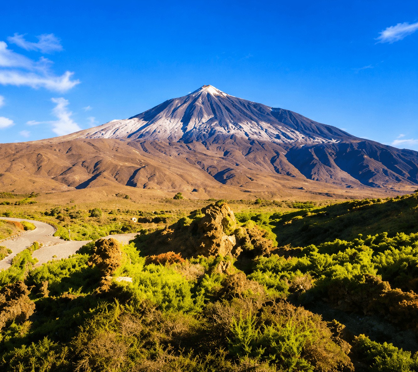 Excursions and tours in Tenerife