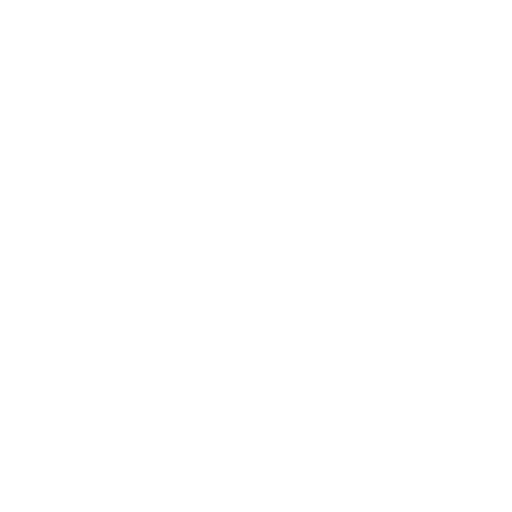 Amusement Park
