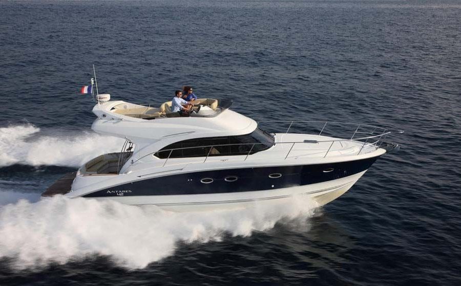 Dolphin and whale private charters